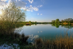 DSCF0017