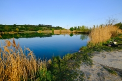 DSCF0030