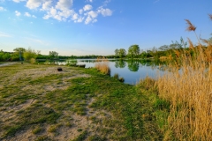 DSCF0035