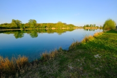 DSCF0079