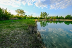 DSCF0085