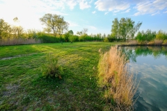 DSCF0087