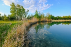 DSCF0090