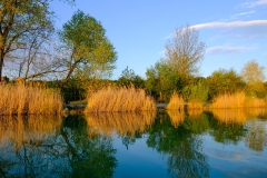 DSCF0139