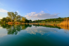 DSCF0154