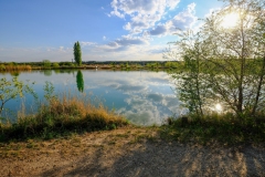 DSCF9953