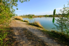DSCF9956