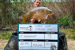 31